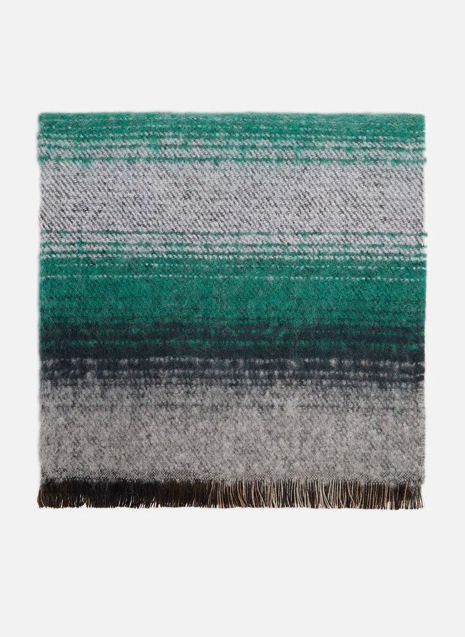 Comment choisir la couleur de son tapis de salon - Paillasson.shop