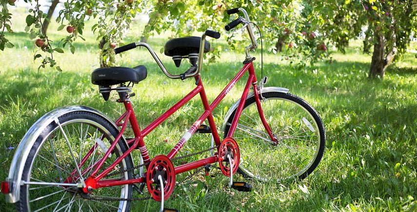 Éco-durabilité, petits pas pour de grands résultats - Paillasson.shop