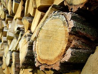 LE BOIS : UN MOBILIER ECO-RESPONSABLE - Paillasson.shop