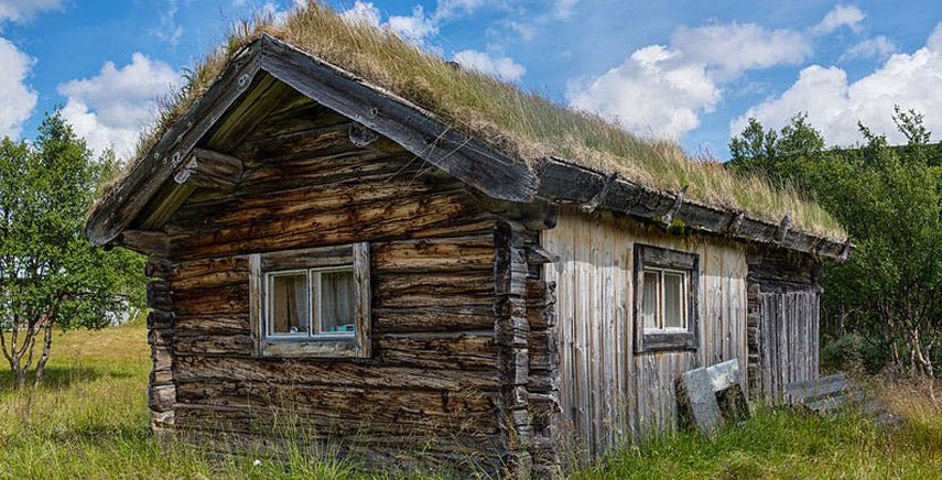 Le jardin sur le toit et les toits verts - Paillasson.shop