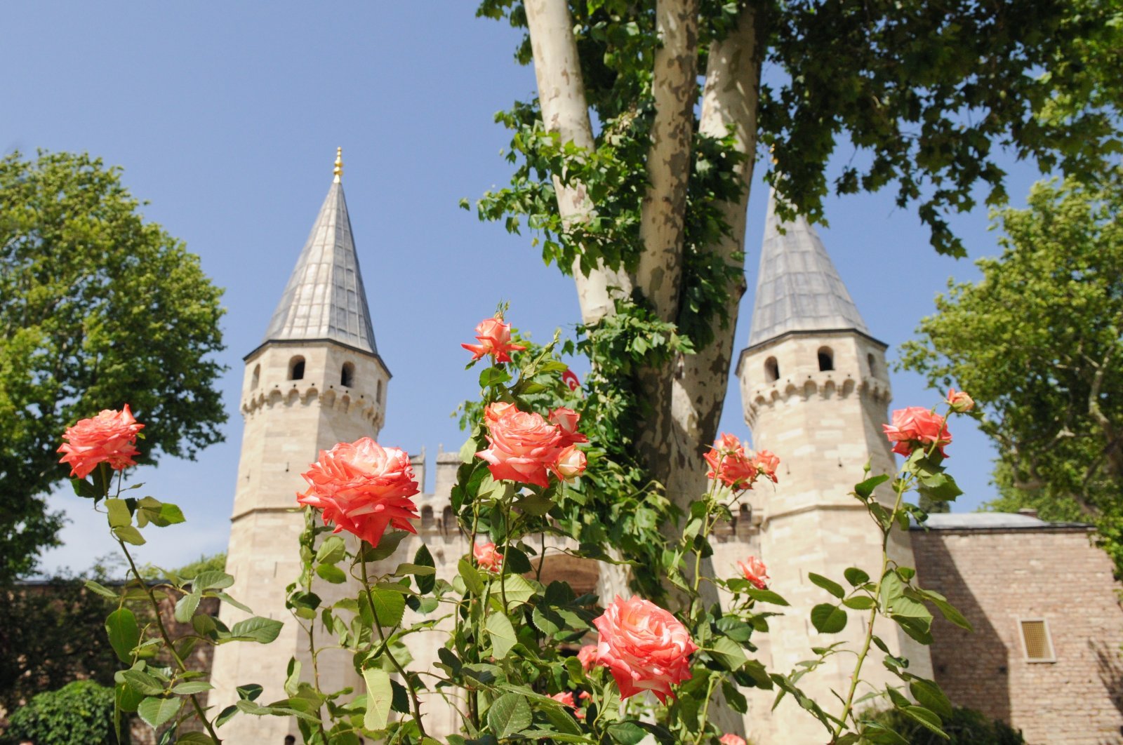 Le langage des fleurs dans l'Islam et chez les Ottomans - Paillasson.shop
