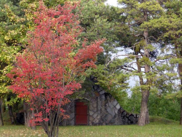 Que faire au jardin en octobre ? - Paillasson.shop