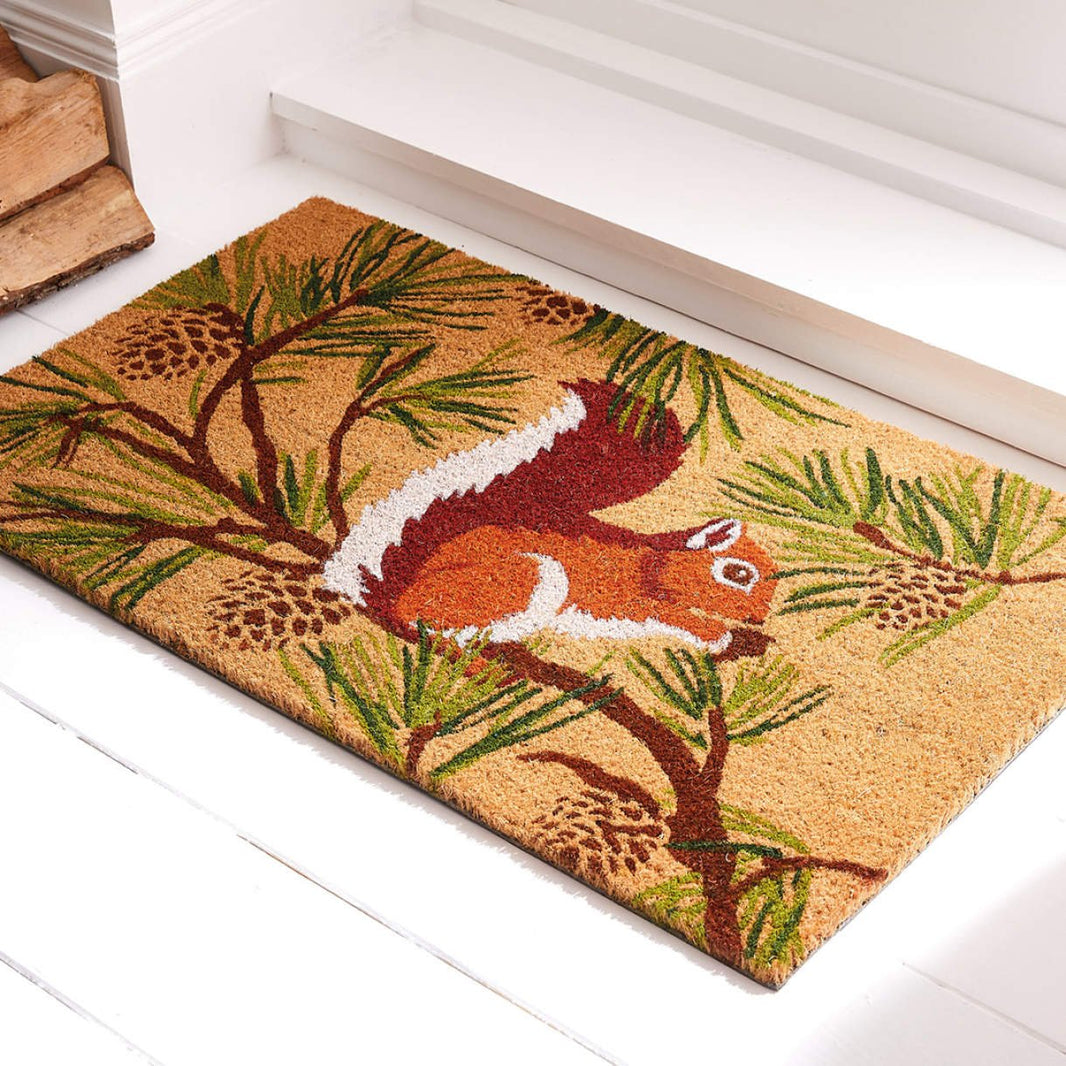 Quel tapis sur plancher ? - Paillasson.shop