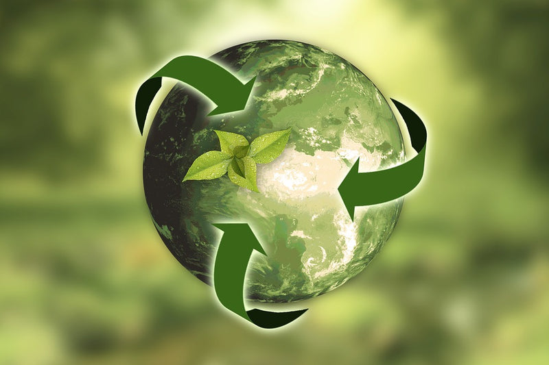 écologie