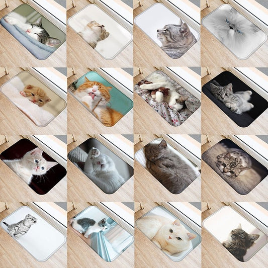 Paillasson avec photo de chat - Paillasson.shop