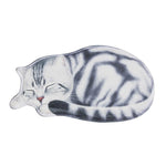 Paillasson chat original - Vignette | Paillasson.shop