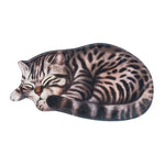 Paillasson chat original - Vignette | Paillasson.shop