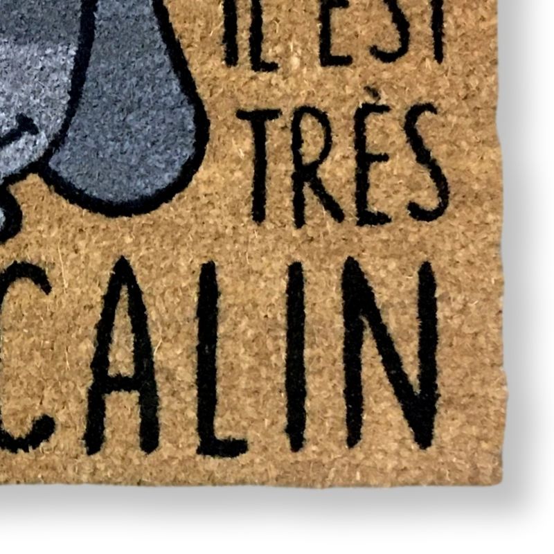 Paillasson humour chien - Paillasson.shop