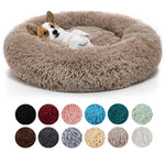 Tapis anti stress pour chien - Vignette | Paillasson.shop