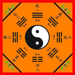 Tapis Chinois ancien - Vignette | Paillasson.shop